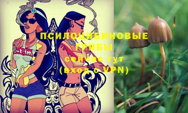 альфа пвп Вяземский