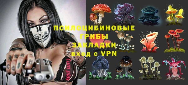 гашик Киров