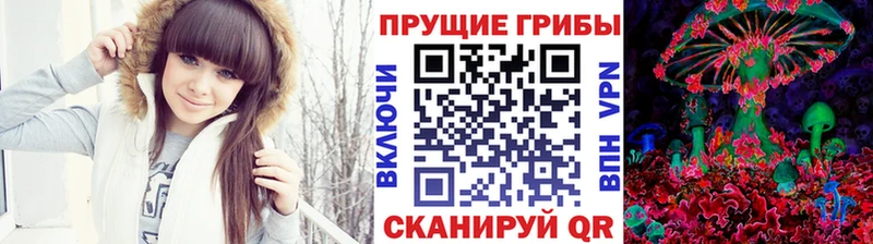 Псилоцибиновые грибы GOLDEN TEACHER  купить наркотик  Десногорск 